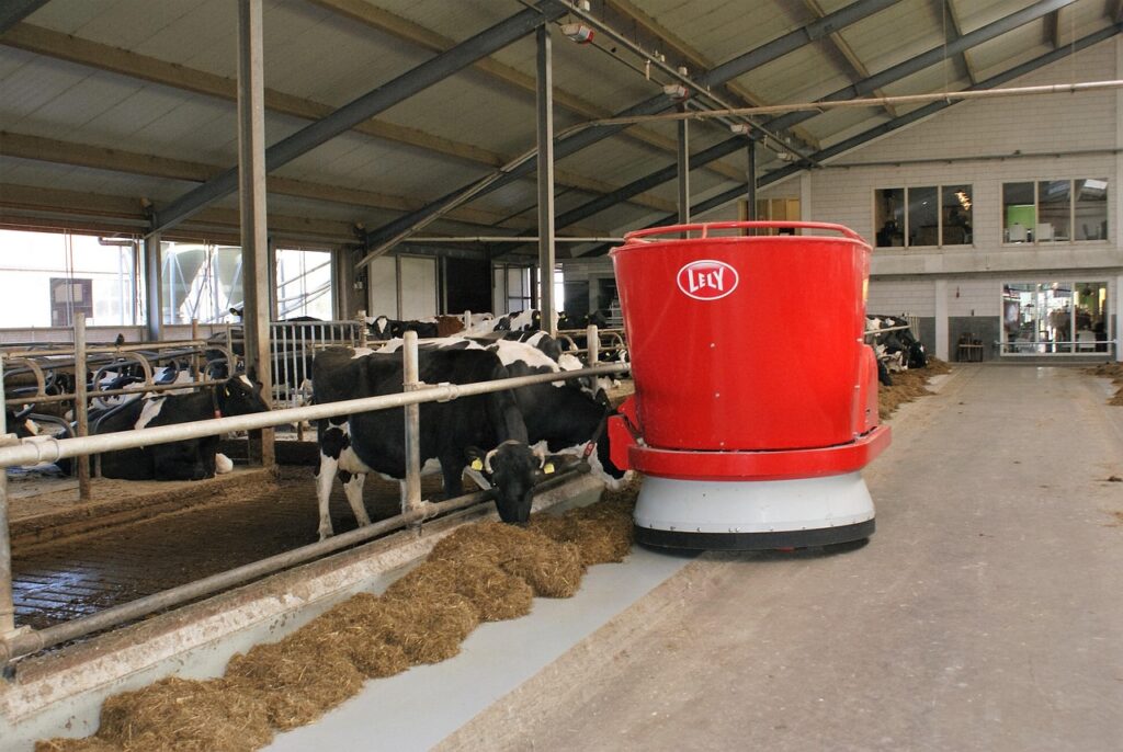 Dairy Farm Worker Job In New Zealand
