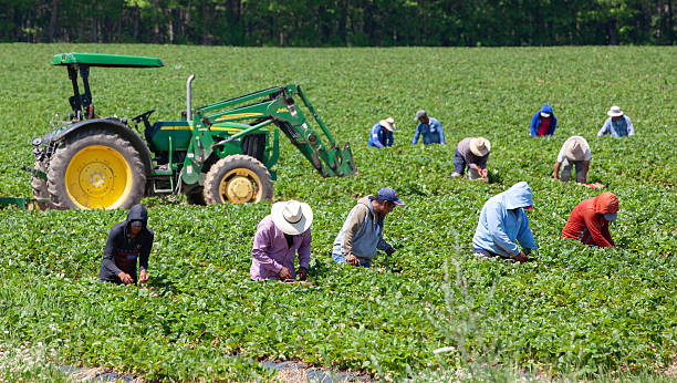 Farm Cleaner Job In Australia