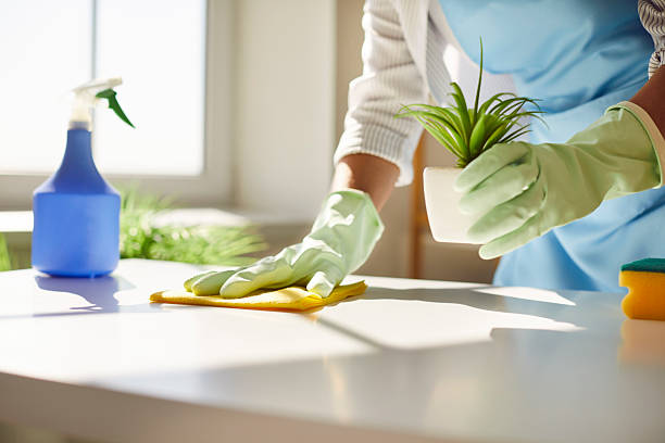 Housekeeper Job In Canada